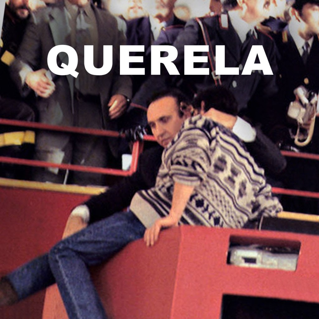 teddy bear and the palma