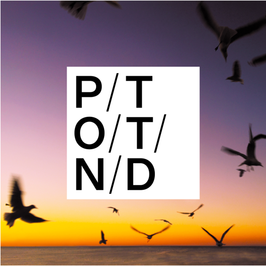 porcupine tree of the new day video