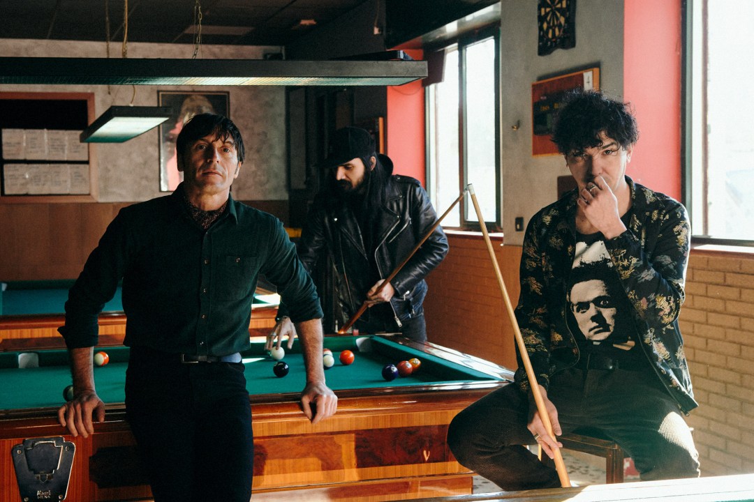 cari fottutissimi amici zen circus