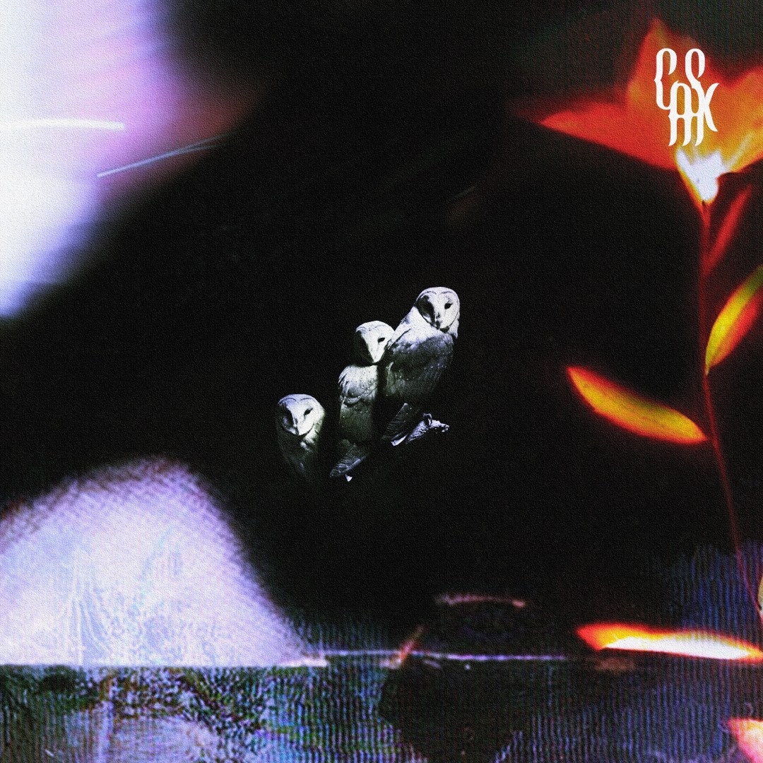 casx lost in translation